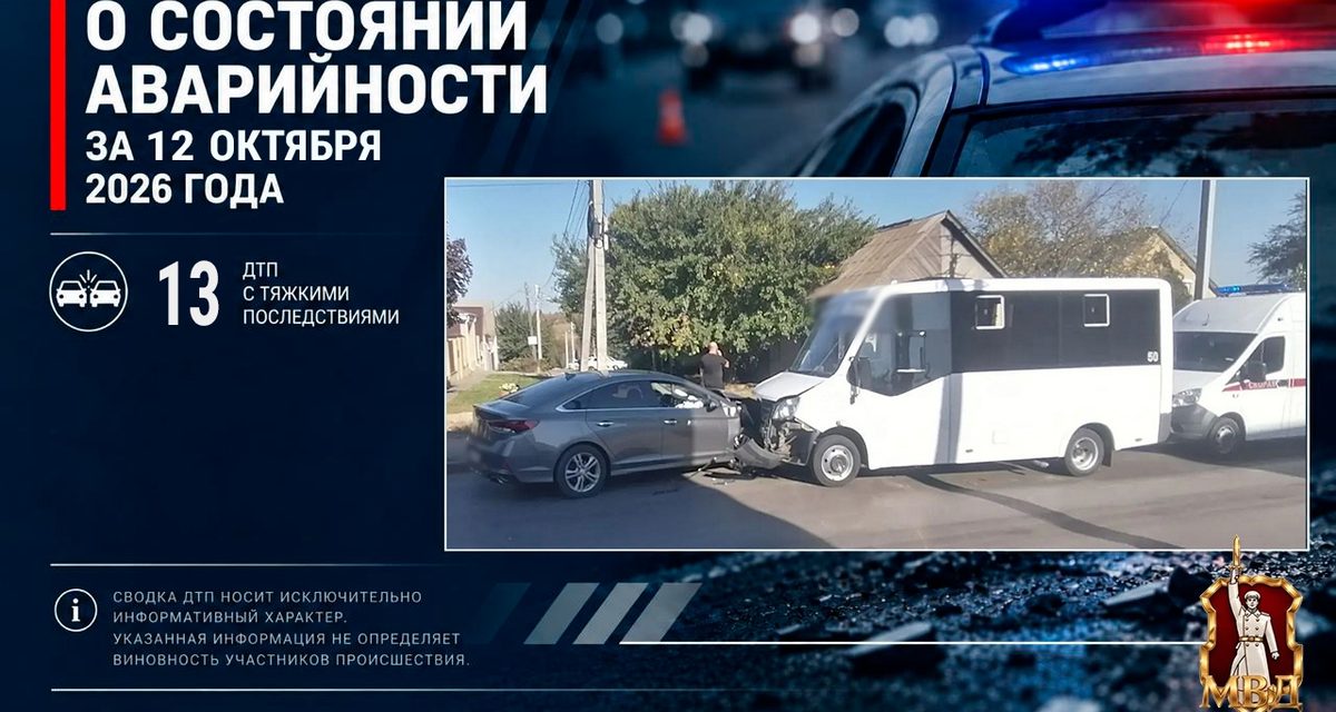 После выезда 18-летнего водителя на встречную полосу восемь пассажиров ГАЗа попали в больницу