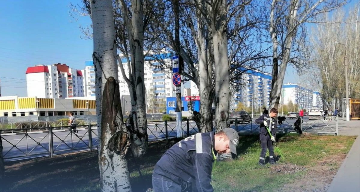 В Волжском осенний субботник перенесли: деревья ещё не сбросили листву